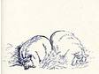 This card features a vintage illustration of two pigs with